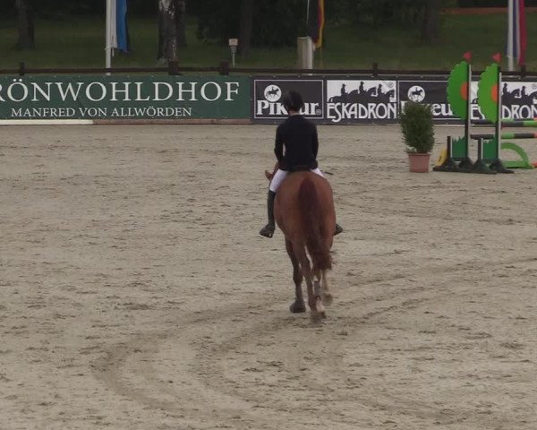 Reitturnier Westergellersen 2022