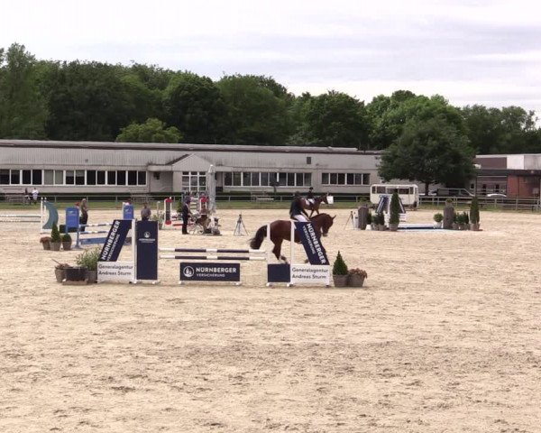 Reitturnier Langenfeld - Gut Langfort 2022