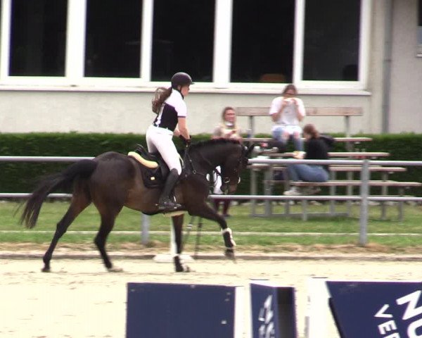 Reitturnier Langenfeld - Gut Langfort 2022