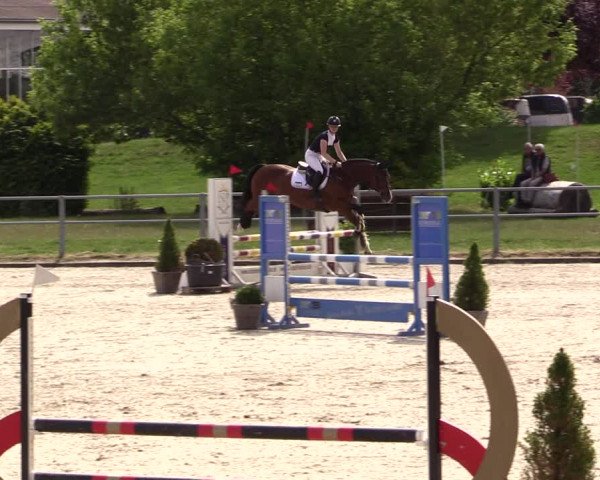 Reitturnier Langenfeld - Gut Langfort 2022