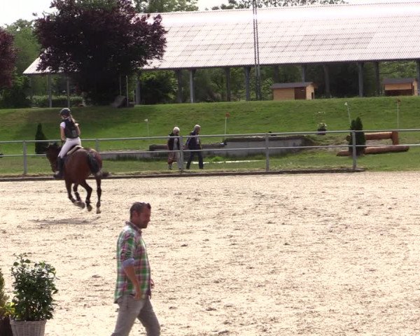 Reitturnier Langenfeld - Gut Langfort 2022