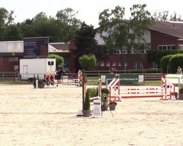 Reitturnier Langenfeld - Gut Langfort 2022