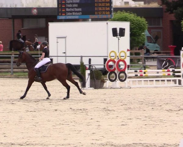 Reitturnier Langenfeld - Gut Langfort 2022