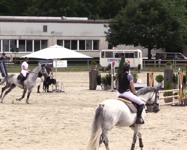 Reitturnier Langenfeld - Gut Langfort 2022