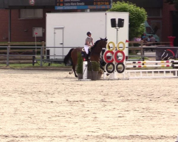 Reitturnier Langenfeld - Gut Langfort 2022