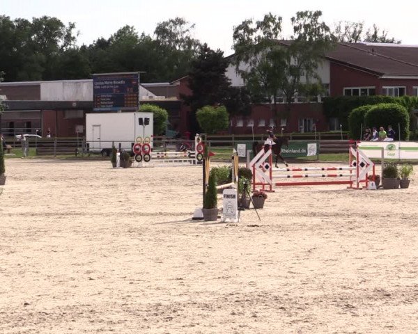 Reitturnier Langenfeld - Gut Langfort 2022