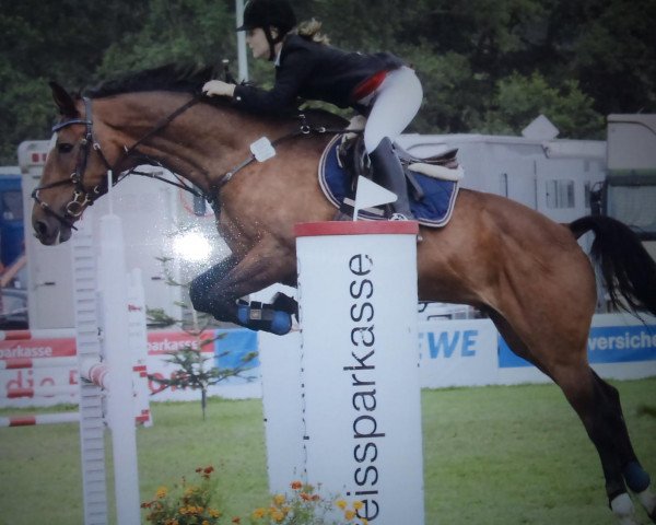 jumper Lantano S (Hanoverian, 1997, from Laptop)