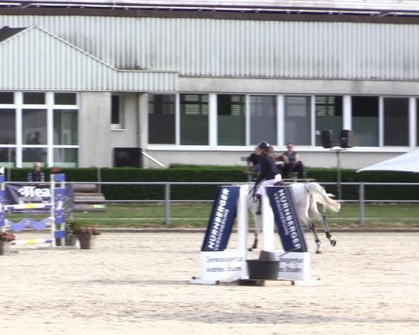 Reitturnier Langenfeld - Gut Langfort 2022