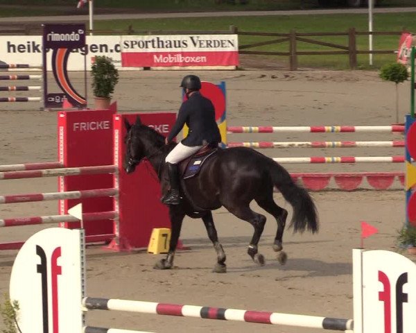 Reitturnier Westergellersen 2022