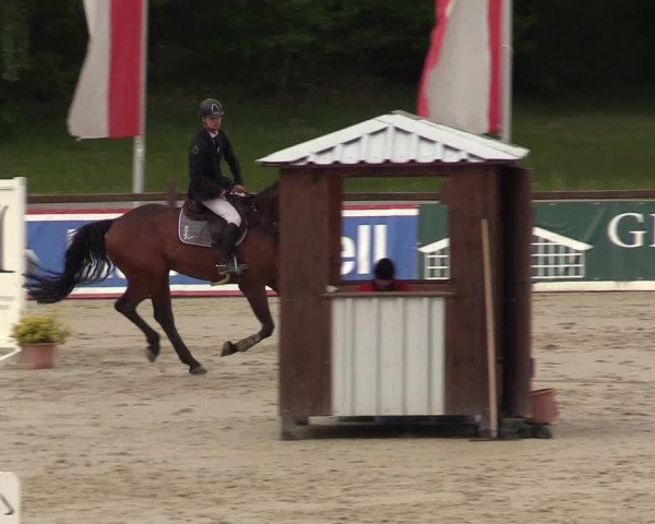 Reitturnier Westergellersen 2022