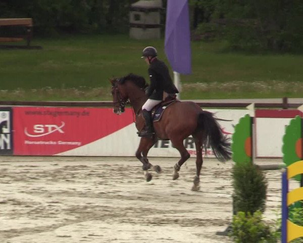 Reitturnier Westergellersen 2022