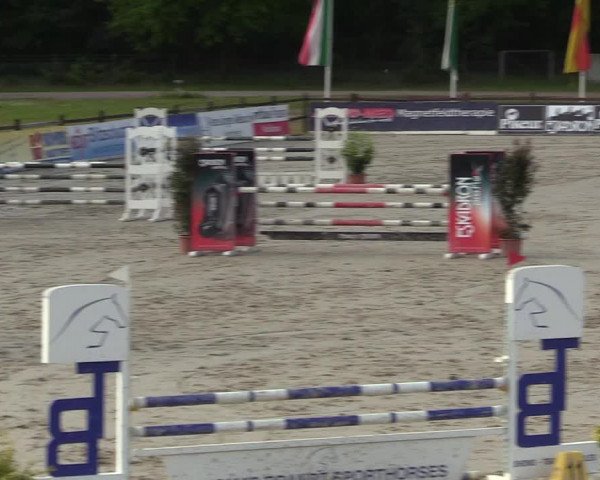 Reitturnier Westergellersen 2022