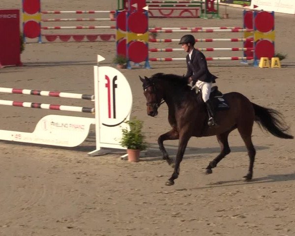Reitturnier Westergellersen 2022