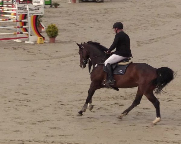 Reitturnier Westergellersen 2022