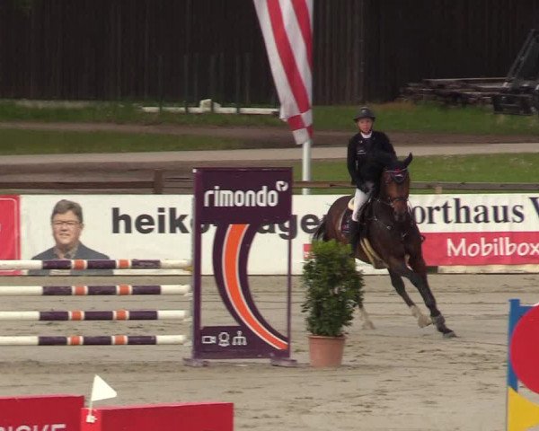 Reitturnier Westergellersen 2022