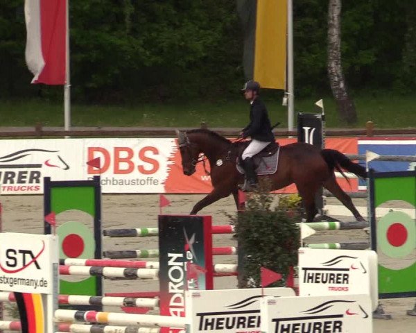 Reitturnier Westergellersen 2022