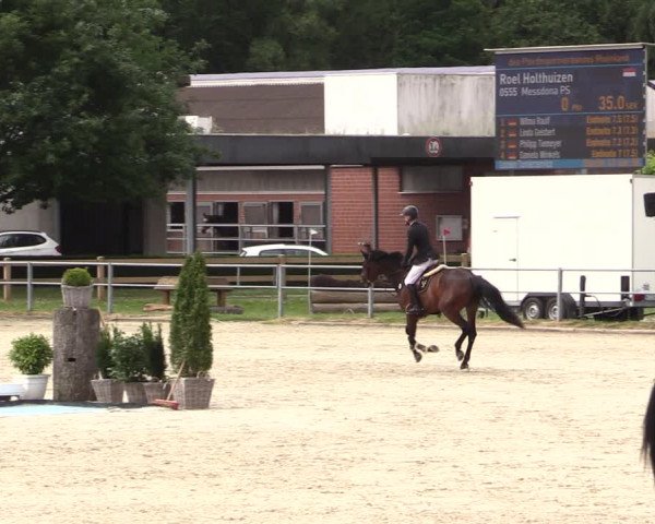Reitturnier Langenfeld - Gut Langfort 2022