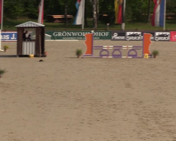 Reitturnier Westergellersen 2022