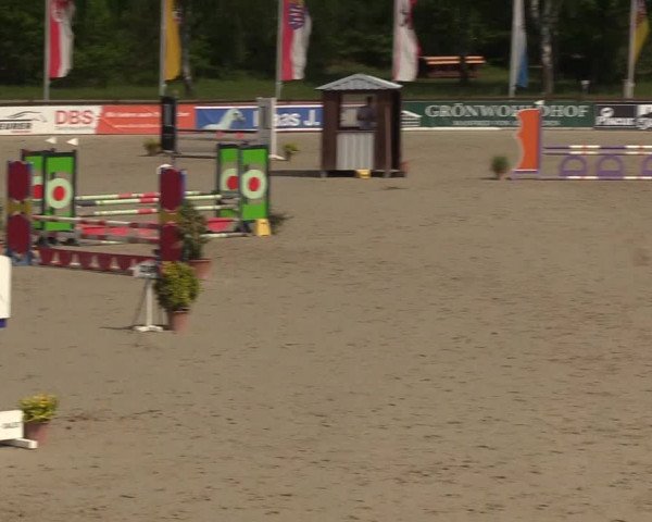 Reitturnier Westergellersen 2022