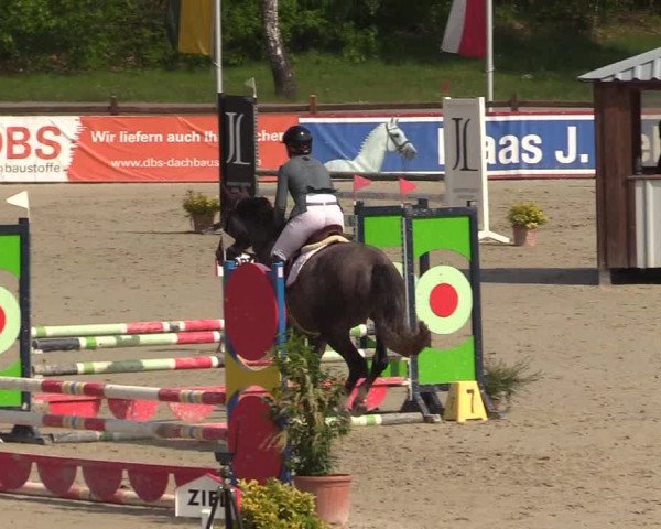 Reitturnier Westergellersen 2022