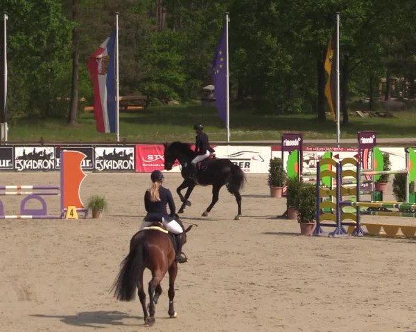 Reitturnier Westergellersen 2022