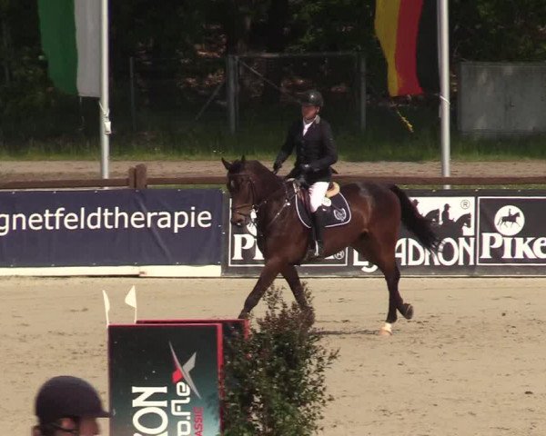 Reitturnier Westergellersen 2022