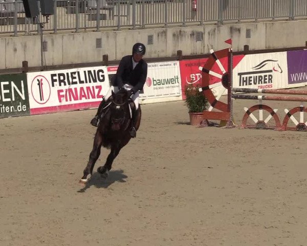 Reitturnier Westergellersen 2022
