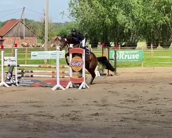 Video of Chica Kb