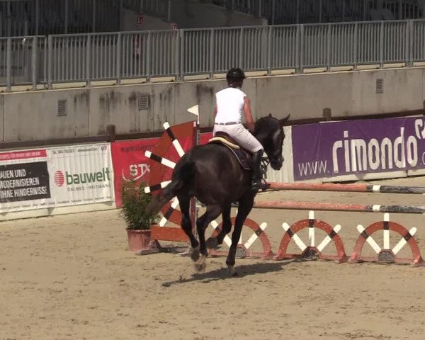 Reitturnier Westergellersen 2022