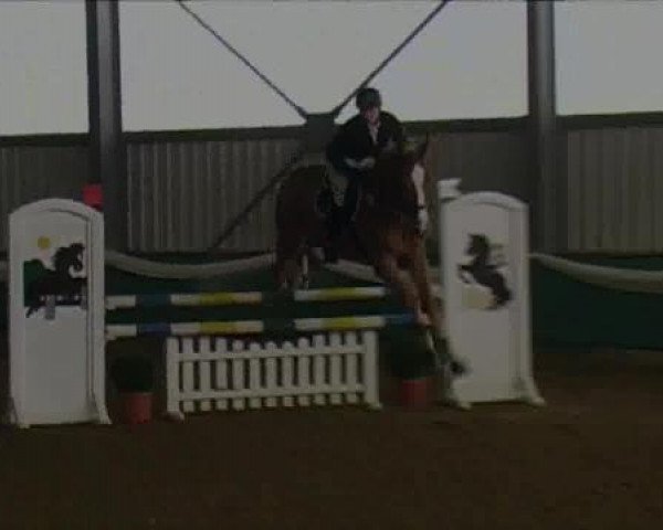 Springpferd Kentucky J 2 (Westfale, 2008, von Kulmann)