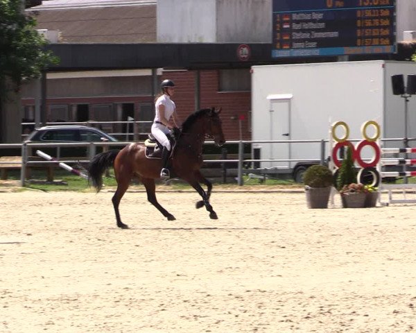 Reitturnier Langenfeld - Gut Langfort 2022
