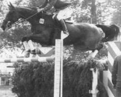 broodmare Landgraefin 10 (Holsteiner, 1970, from Ladykiller xx)