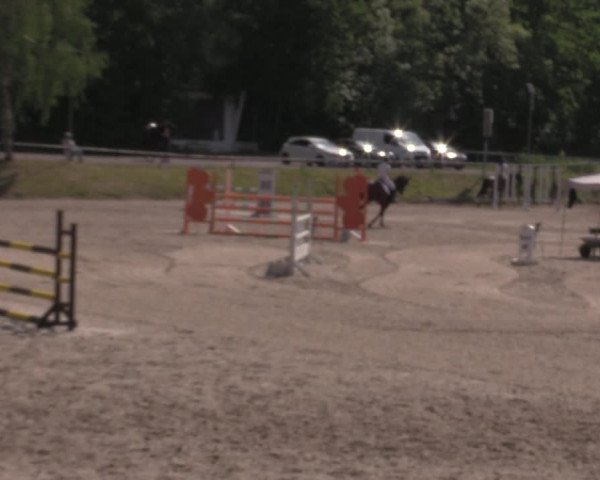 Reitturnier Lgl.-Oberhain, B95 2022