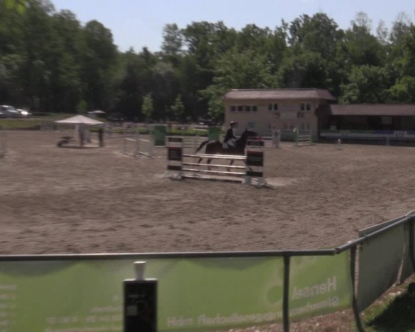 Reitturnier Lgl.-Oberhain, B95 2022
