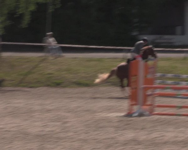 Reitturnier Lgl.-Oberhain, B95 2022