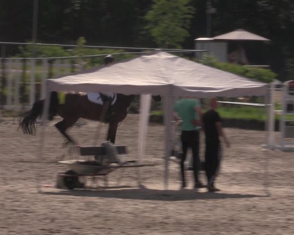 Reitturnier Lgl.-Oberhain, B95 2022