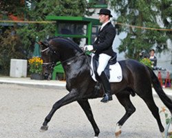 Deckhengst Franz Joseph (Bayer, 2005, von Florencio I)