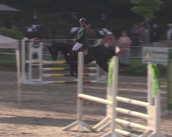 Reitturnier Lgl.-Oberhain, B95 2022