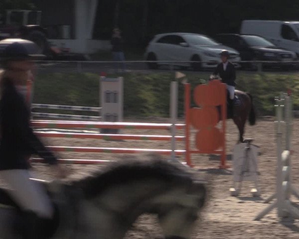 Reitturnier Lgl.-Oberhain, B95 2022