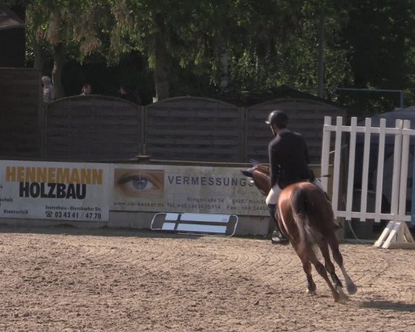 Reitturnier Lgl.-Oberhain, B95 2022