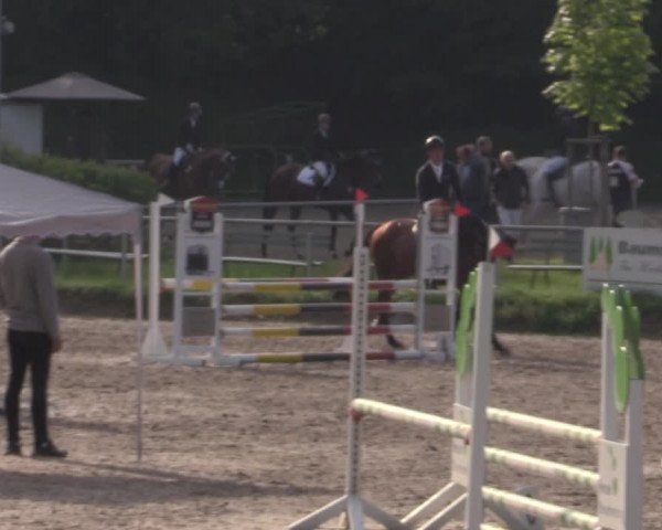 Reitturnier Lgl.-Oberhain, B95 2022