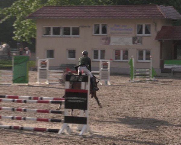 Reitturnier Lgl.-Oberhain, B95 2022