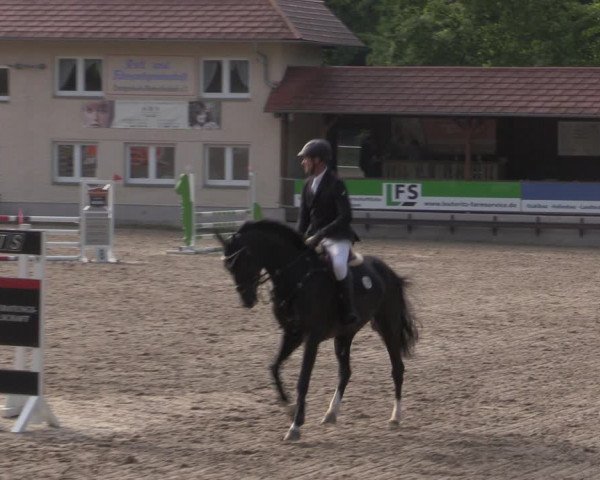 Reitturnier Lgl.-Oberhain, B95 2022