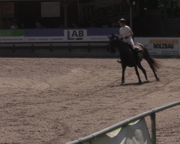 Reitturnier Lgl.-Oberhain, B95 2022