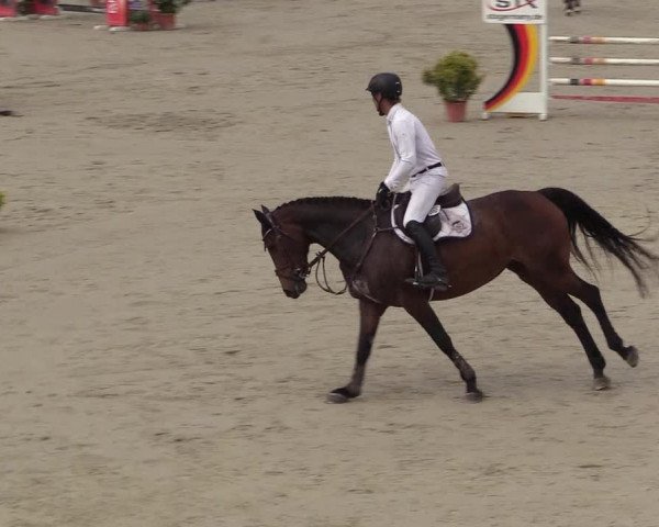 Reitturnier Westergellersen 2022