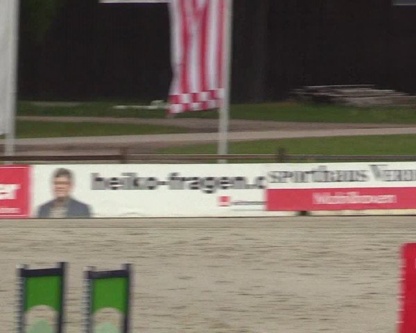 Reitturnier Westergellersen 2022
