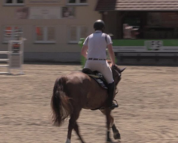 Reitturnier Lgl.-Oberhain, B95 2022