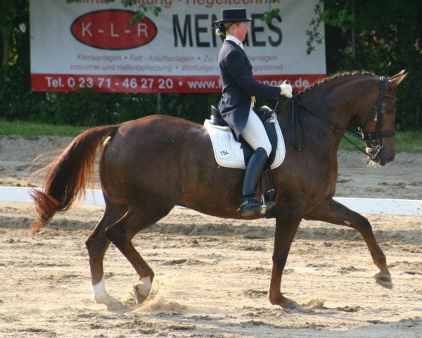 dressage horse Forssell (Westphalian, 2001, from Fleurop)