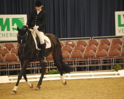 dressage horse Ingido (Westphalian, 2004, from Insterburg TSF)