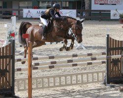jumper Jominka (KWPN (Royal Dutch Sporthorse), 2014, from Calvaro Z)